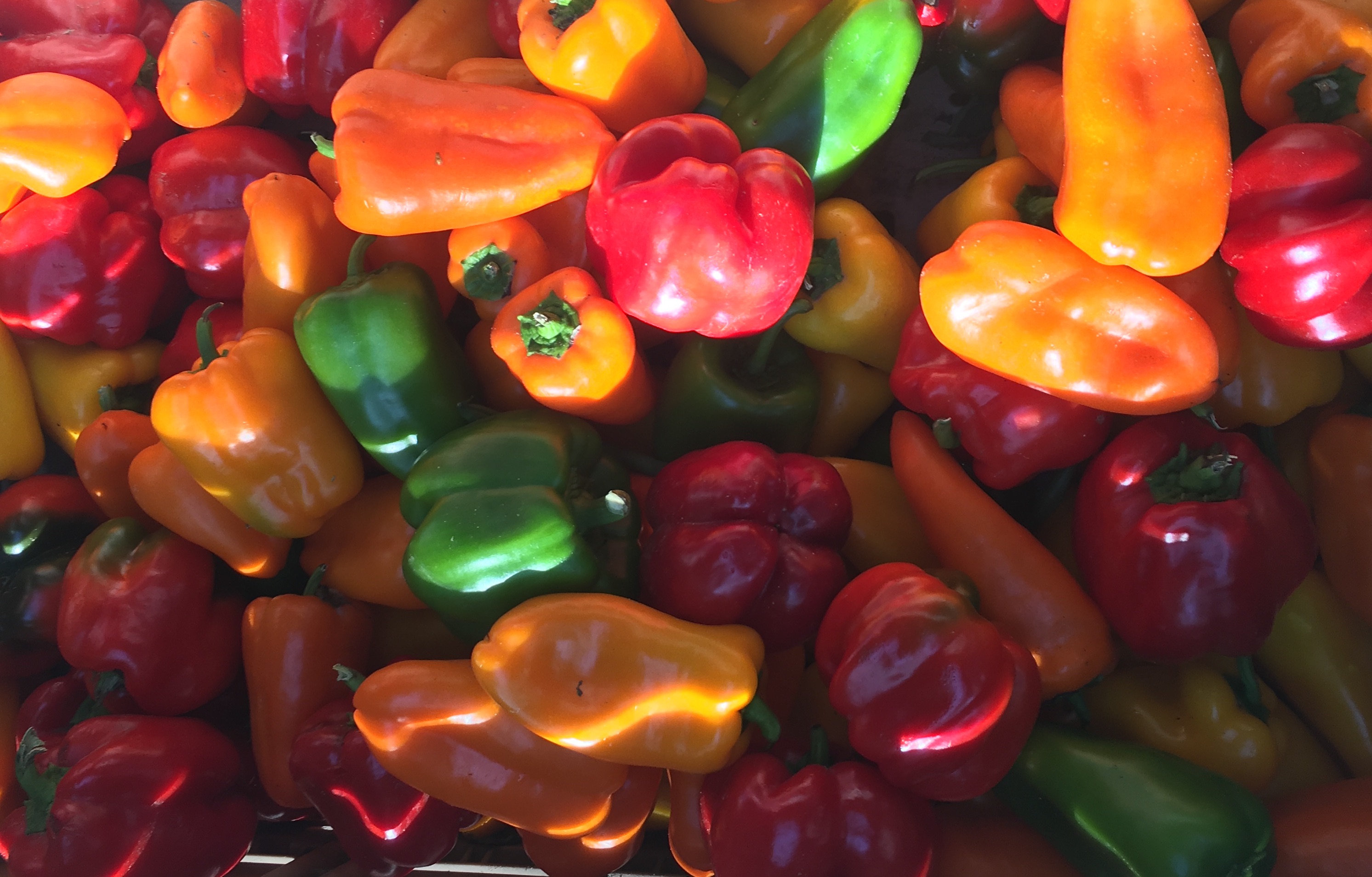 Peppers sold at the University Heights Farmers Market